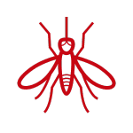 Dedetização de Mosquitos // Dedetizadora em BH